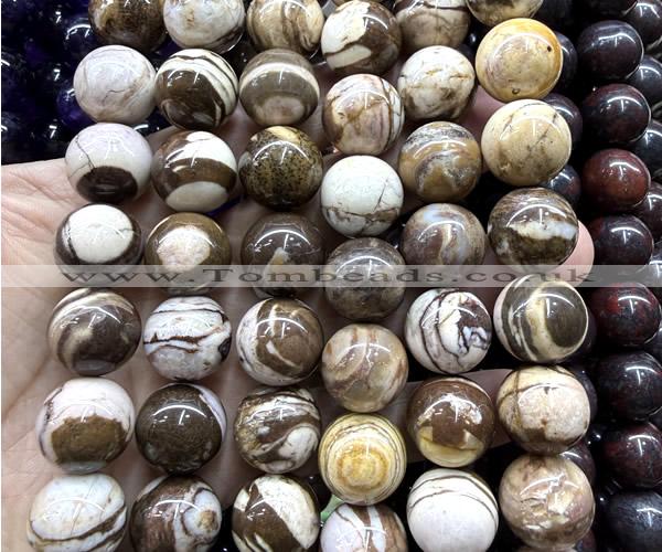 CLS633 15 inches 16mm round Australian zebra jasper beads