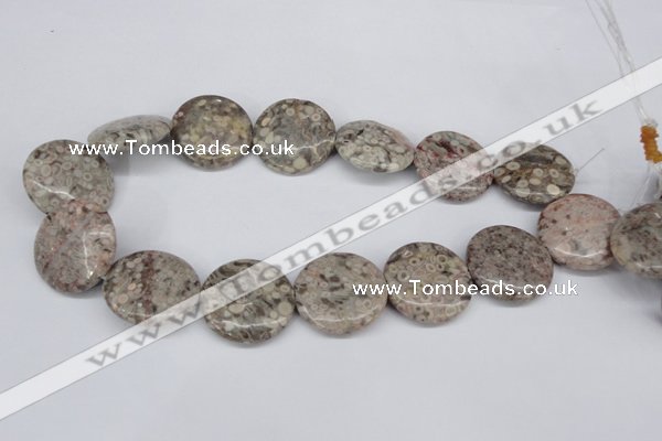 CMB14 15.5 inches 30mm flat round natural medical stone beads