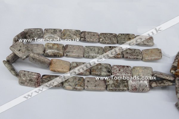 CMB27 15.5 inches 18*25mm rectangle natural medical stone beads