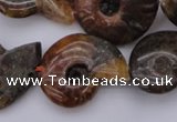 CMM01 15.5 inches 13*18mm - 30*35mm carved ammonite gemstone beads