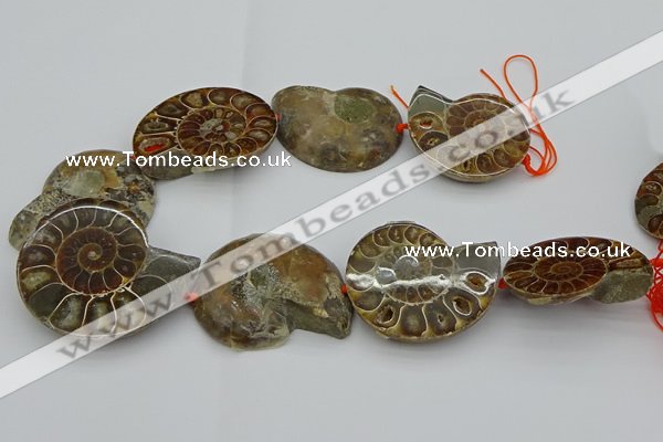 CMM03 15.5 inches 35*45mm - 45*55mm carved ammonite gemstone beads