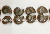 CMM10 15.5 inches 30*40mm - 35*45mm carved ammonite gemstone beads