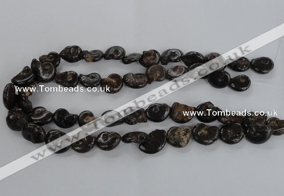 CMM51 15.5 inches 13*18mm - 15*20mm ammonite gemstone beads