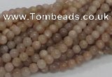 CMS01 15.5 inches 4mm round moonstone gemstone beads wholesale