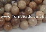 CMS03 15.5 inches 10mm round moonstone gemstone beads wholesale