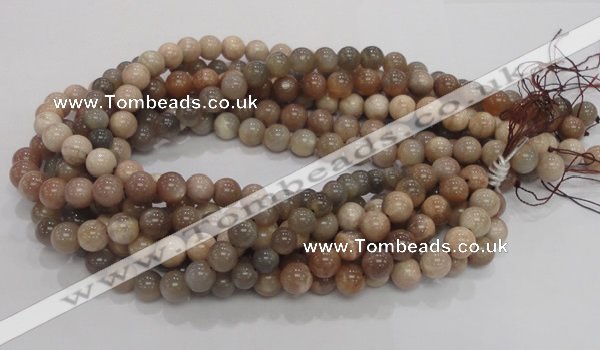 CMS03 15.5 inches 10mm round moonstone gemstone beads wholesale