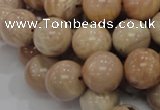 CMS04 15.5 inches 18mm round moonstone gemstone beads wholesale