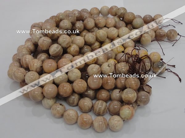 CMS04 15.5 inches 18mm round moonstone gemstone beads wholesale