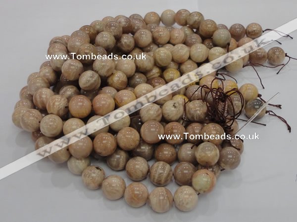 CMS05 15.5 inches 20mm round moonstone gemstone beads wholesale
