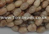 CMS06 15.5 inches 6*10mm rice moonstone gemstone beads wholesale