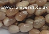 CMS09 15.5 inches 8*12mm teardrop moonstone gemstone beads wholesale