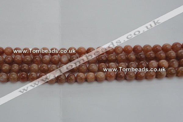 CMS1002 15.5 inches 8mm round AA grade moonstone gemstone beads