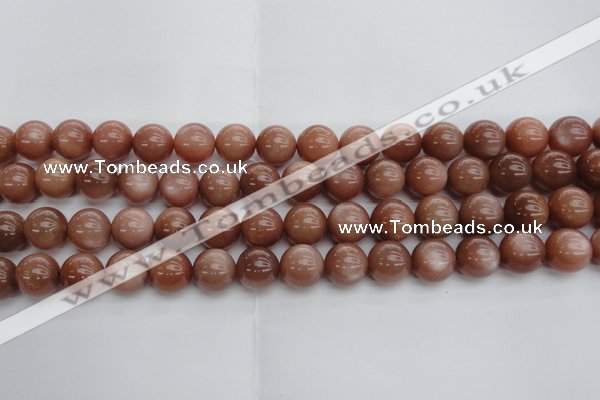 CMS1004 15.5 inches 12mm round AA grade moonstone gemstone beads