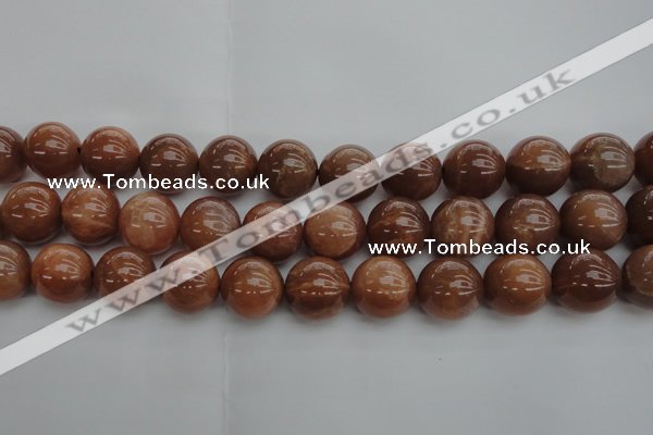 CMS1006 15.5 inches 16mm round AA grade moonstone gemstone beads