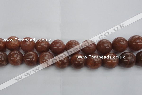 CMS1007 15.5 inches 18mm round AA grade moonstone gemstone beads