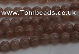 CMS1020 15.5 inches 4mm round AA grade moonstone gemstone beads