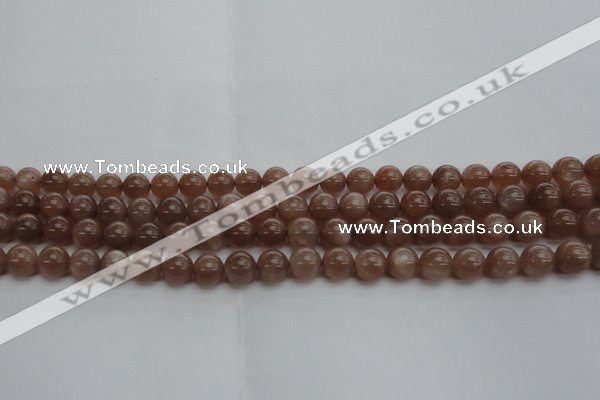 CMS1022 15.5 inches 8mm round AA grade moonstone gemstone beads