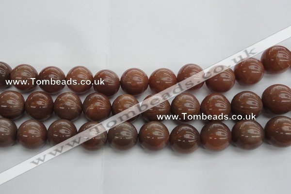 CMS1027 15.5 inches 18mm round AA grade moonstone gemstone beads