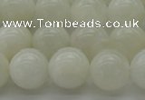 CMS1034 15.5 inches 12mm round A grade white moonstone beads