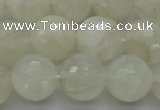 CMS1045 15.5 inches 14mm faceted round A grade white moonstone beads