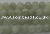 CMS1051 15.5 inches 6mm round grey moonstone beads wholesale