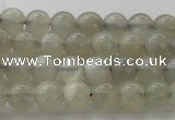 CMS1057 15.5 inches 6mm round grey moonstone beads wholesale