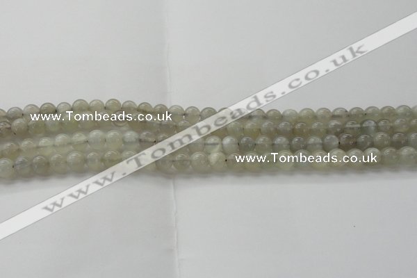 CMS1057 15.5 inches 6mm round grey moonstone beads wholesale