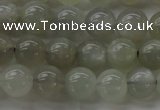 CMS1058 15.5 inches 8mm round grey moonstone beads wholesale