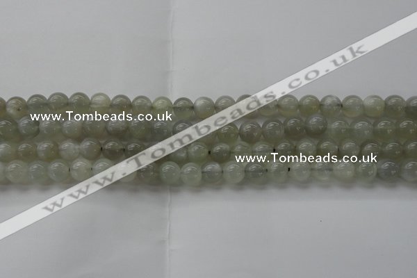 CMS1058 15.5 inches 8mm round grey moonstone beads wholesale