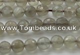 CMS1060 15.5 inches 6mm faceted round grey moonstone beads wholesale