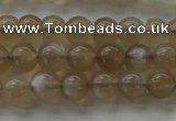 CMS1064 15.5 inches 6mm round grey moonstone beads wholesale