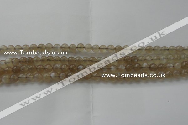 CMS1064 15.5 inches 6mm round grey moonstone beads wholesale