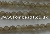 CMS1066 15.5 inches 4mm faceted round grey moonstone beads wholesale