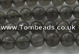 CMS1071 15.5 inches 6mm round grey moonstone beads wholesale