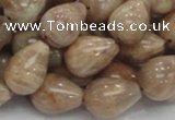 CMS11 15.5 inches 14*18mm teardrop moonstone gemstone beads wholesale