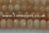 CMS1170 15.5 inches 4*6mm faceted rondelle moonstone beads