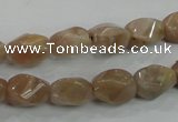 CMS118 15.5 inches 8*12mm twisted rice moonstone gemstone beads