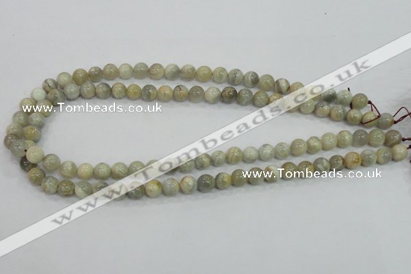 CMS120 15.5 inches 8mm round moonstone gemstone beads wholesale