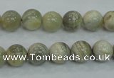 CMS121 15.5 inches 10mm round moonstone gemstone beads wholesale