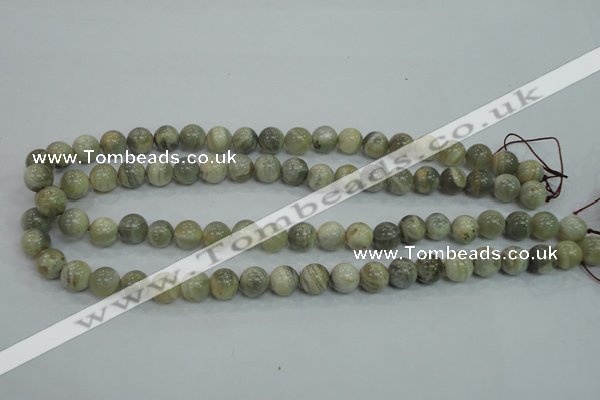 CMS121 15.5 inches 10mm round moonstone gemstone beads wholesale