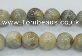 CMS122 15.5 inches 12mm round moonstone gemstone beads wholesale