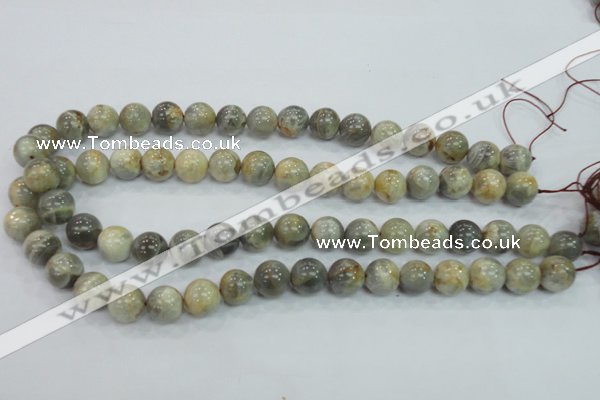 CMS122 15.5 inches 12mm round moonstone gemstone beads wholesale