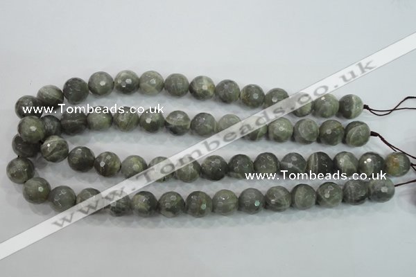CMS126 15.5 inches 14mm faceted round moonstone gemstone beads