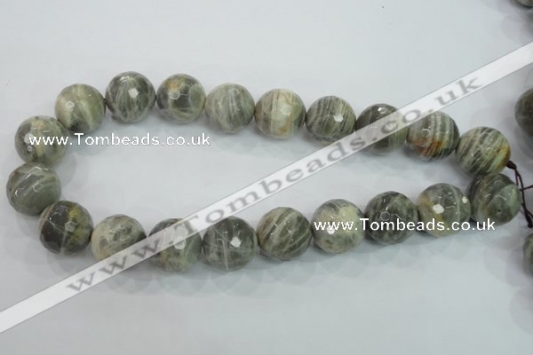 CMS127 15.5 inches 20mm faceted round moonstone gemstone beads