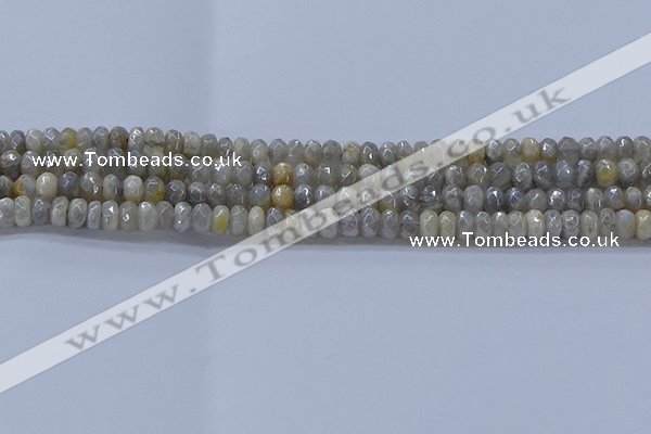 CMS1331 15.5 inches 4*6mm faceted rondelle AB-color grey moonstone beads