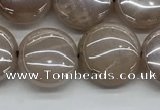 CMS1348 15.5 inches 12mm flat round AB-color moonstone beads