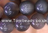 CMS1422 15.5 inches 8mm round black moonstone beads wholesale