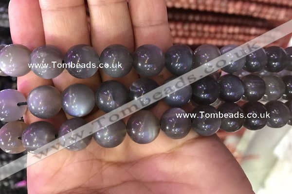 CMS1424 15.5 inches 12mm round black moonstone beads wholesale