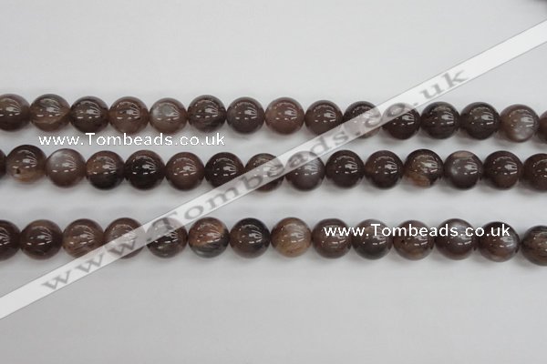 CMS143 15.5 inches 10mm round natural grey moonstone beads