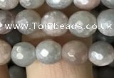 CMS1456 15.5 inches 6mm faceted round AB-color moonstone beads